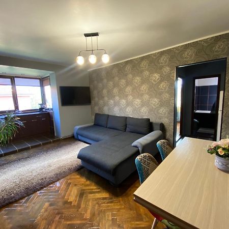 Comfort Home Apartment 2 彼得罗沙尼 外观 照片