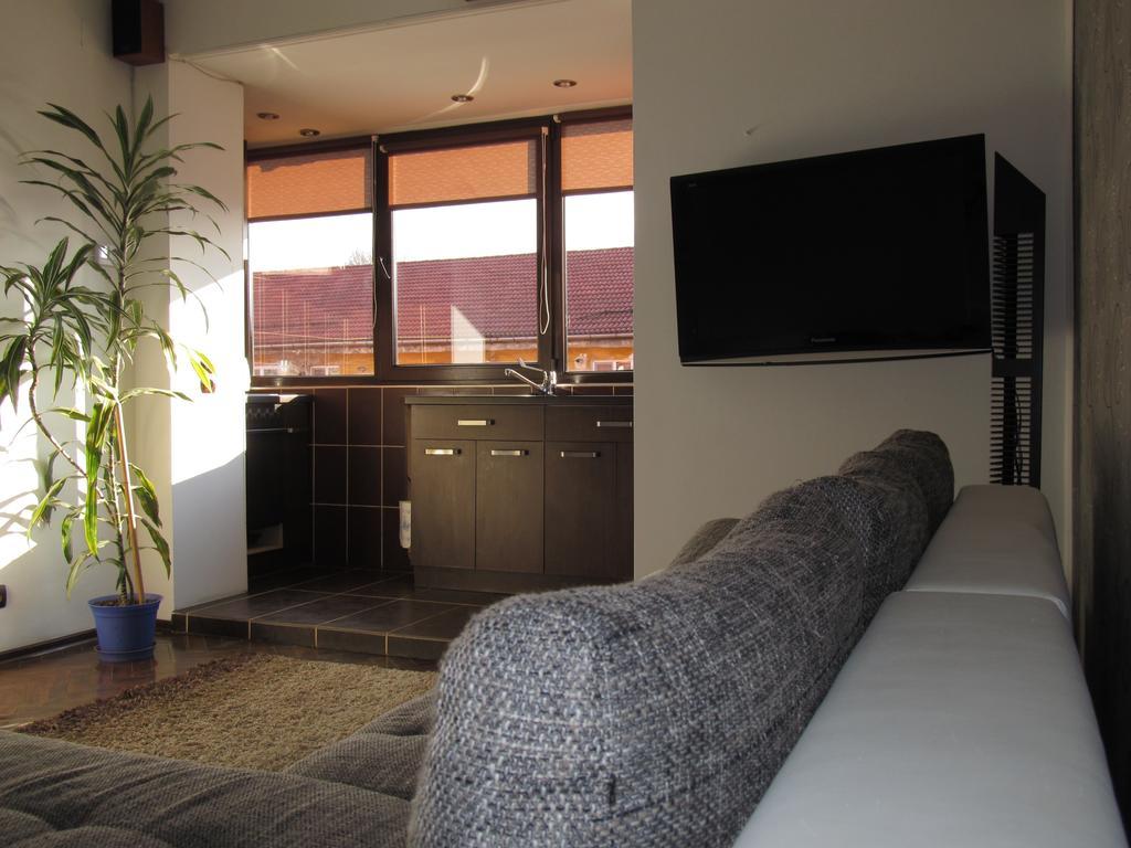 Comfort Home Apartment 2 彼得罗沙尼 外观 照片