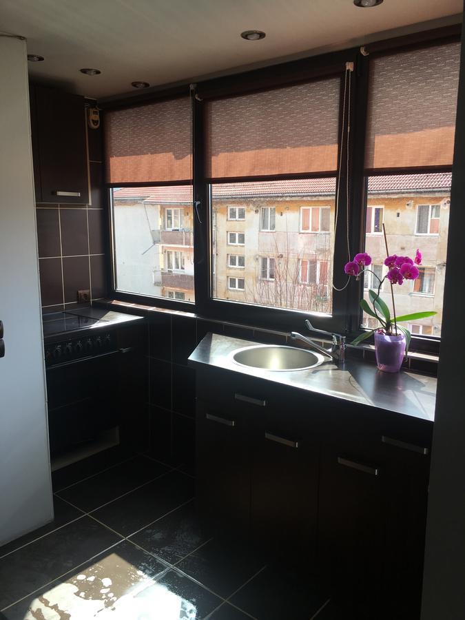 Comfort Home Apartment 2 彼得罗沙尼 外观 照片
